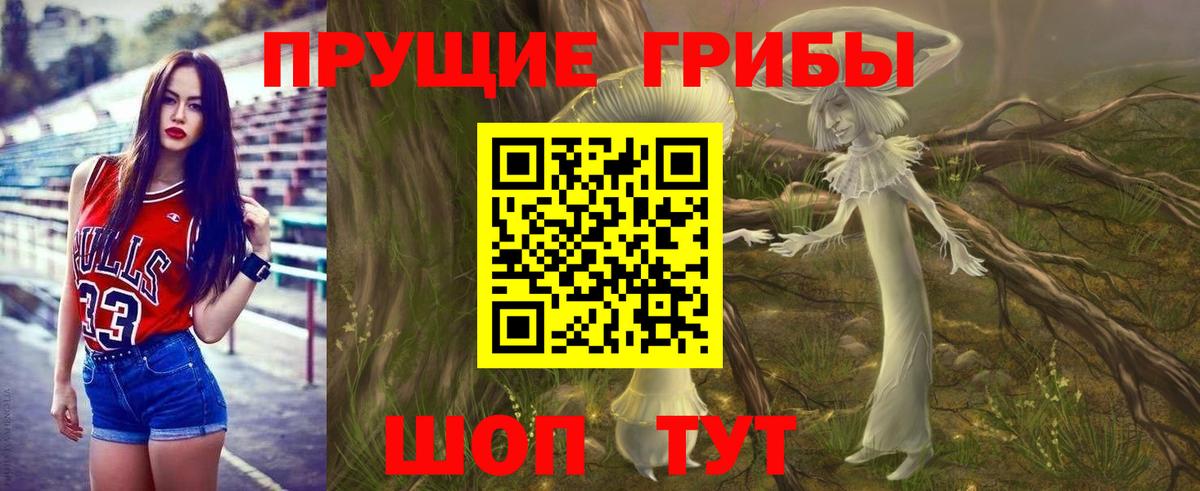 Нарткала  Галлюциногенные грибы MAGIC MUSHROOMS  Псилоцибиновые грибы Psilocybe  Вход с VPN 