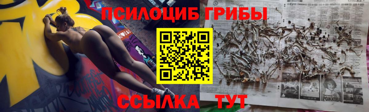Псилоцибиновые грибы прущие грибы Нарткала