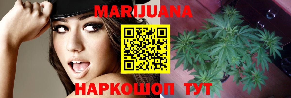 Шишки марихуана планчик  Бошки марихуана White Widow  Нарткала  Вход с VPN 